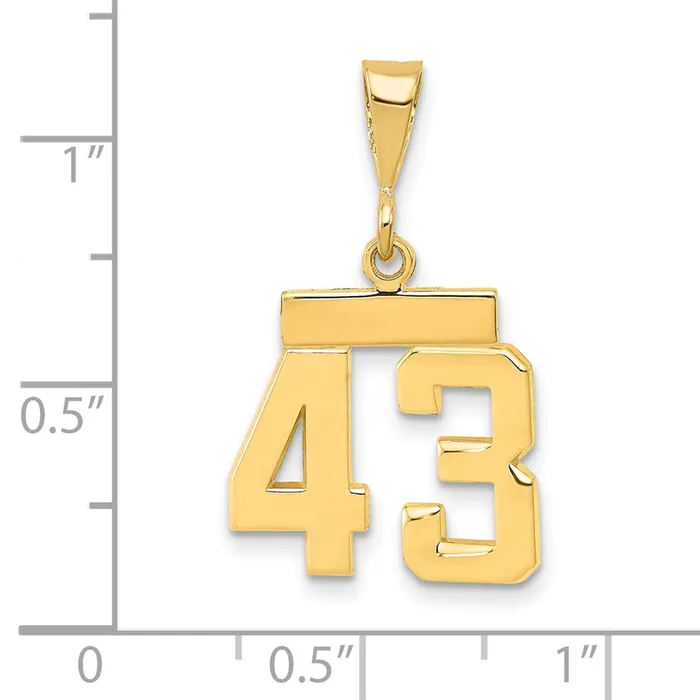 Charm Necklaces 14k Yellow Gold Small Polished Number 43 Charm Goldia