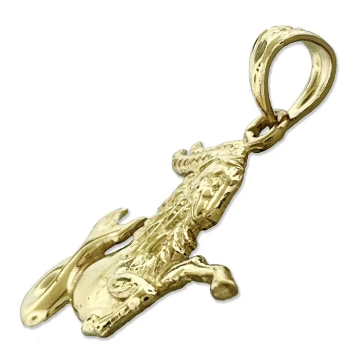 Goldia PreStyled Sets 14K Gold Zodiac Capricorn Pendant