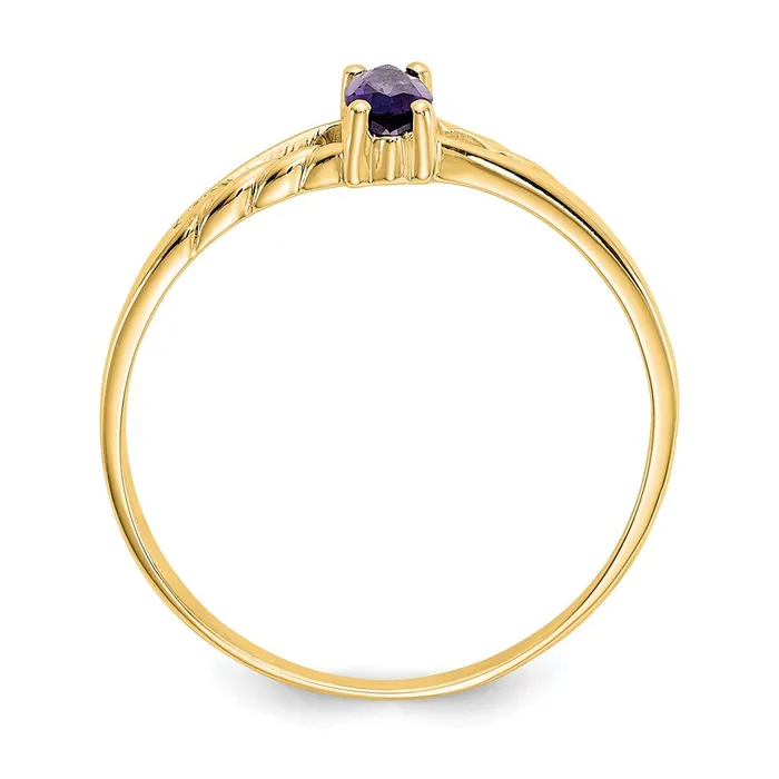 Goldia Rings 14K Yellow Gold Amethyst Birthstone Ring