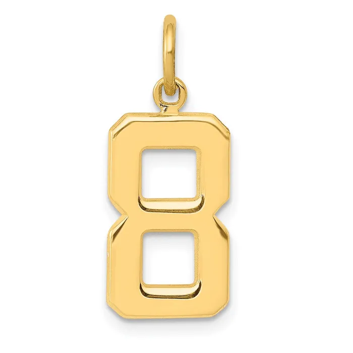 14k Medium Polished Number 8 Charm TreasureFineJewelers Charm Necklaces