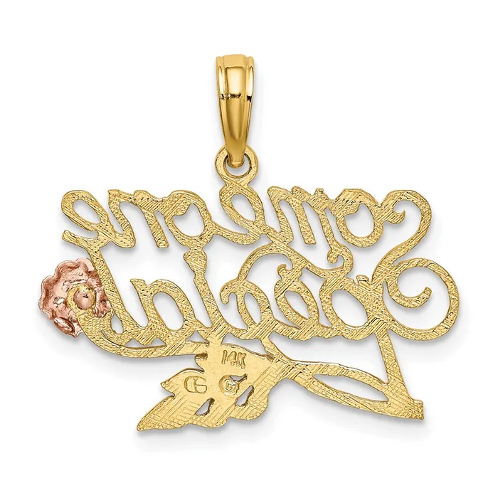Charm Necklaces TreasureFineJewelers 14k TwoTone SOMEONE SPECIAL w Flower Charm