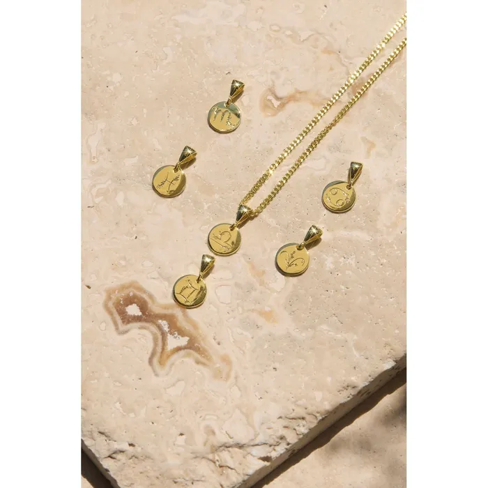 Gemini Zodiac Sign Pendant Necklace 14K 925 Gold Vermeil Ema Jewels Necklaces