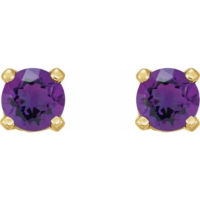 TreasureFineJewelers 14K Yellow Gold Natural Amethyst Earrings Earrings